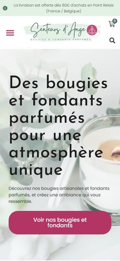 La même boutique sur un téléphone